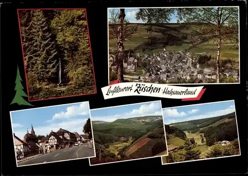 Ak Züschen Winterberg im Sauerland, Gesamtansicht, Wald, Straße