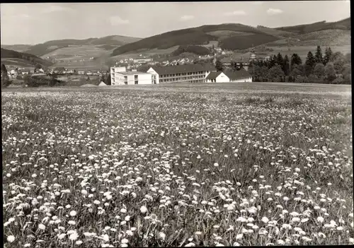 Ak Bad Berleburg in Westfalen, Blumenwiese, Blick auf den Ort