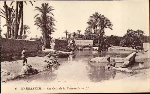 Ak Marrakesch Marokko, Un Coin de la Palmeraie