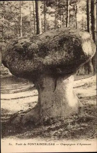 Ak Fontainebleau Seine et Marne, Champignon d'Apremont