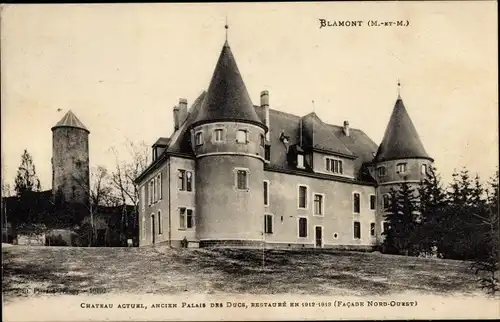 Ak Blamont Meurthe et Moselle, Chateau Actuel