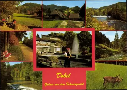 Ak Dobel im Schwarzwald, Rehe, Springbrunnen, Garten, Wald