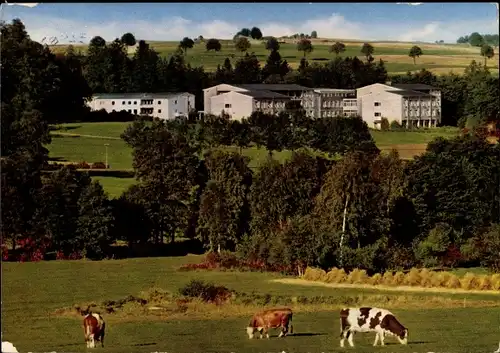 Ak Bad Steben in Oberfranken, Sanatorium Frankenwarte, Kühe weiden