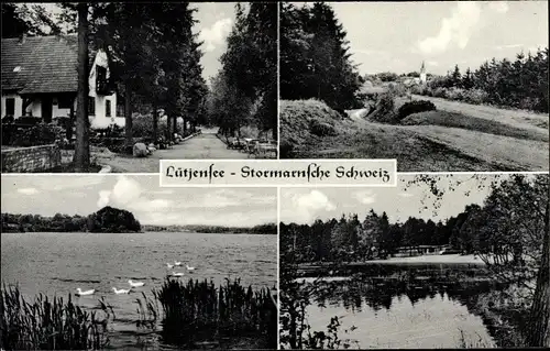 Ak Lütjensee in Holstein, Seepartie, Haus, Enten
