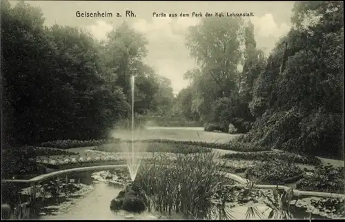 Ak Geisenheim am Rhein Hessen, Partie aus dem Park der Kgl. Lehranstalt