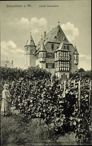 Ak Geisenheim am Rhein Hessen, Schloss Schoenborn