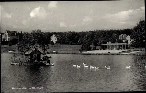 Ak Hahnenklee Bockswiese Goslar im Harz, Partie am Wasser