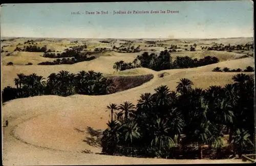 Ak Marokko?, Dans le Sud, Jardins de Palmiers dans les Dunes