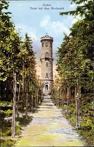 Ak Oybin im Zittauer Gebirge, Turm auf dem Hochwald, Blick vom Weg