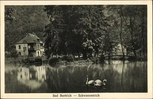 Ak Bad Bertrich an der Mosel Eifel, Schwanenteich