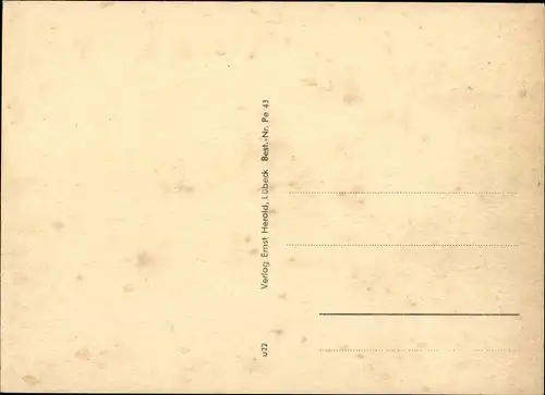 Ak Ostseebad Pelzerhaken Neustadt in Holstein, Campingplatz, Strand