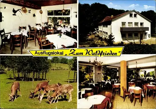 Ak Havixbeck in Westfalen, Gasthaus Zum Waldfrieden, Rehe