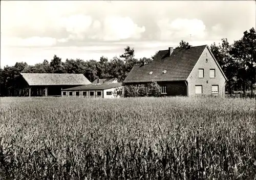 Ak Pentrup Greven in Westfalen, Privatpension Waldesruh, Feld