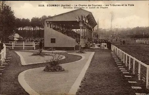 Ak Écommoy Sarthe, Le Champ de Courses, Les Tribunes et la Piste