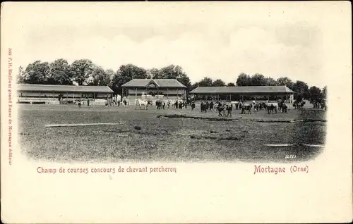 Ak Mortagne Orne, Champ de courses de chevant percheron