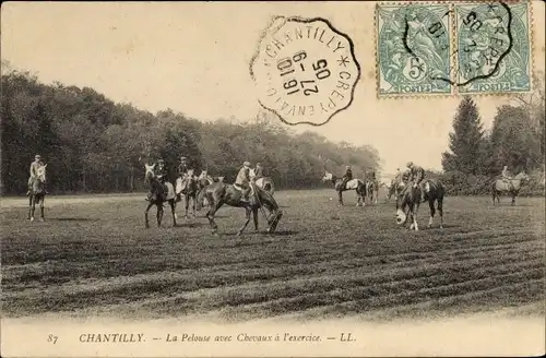 Ak Chantilly Oise, La Pelouse avec Chevaux a l'exercice