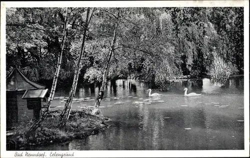 Ak Bad Nenndorf an der Weser, Erlengrund