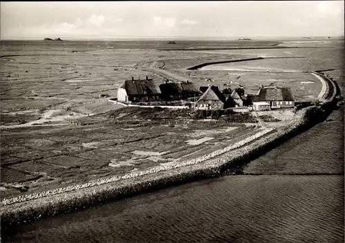 Ak Hallig Langeneß Nordfriesland, Hilligenley