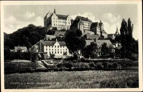 Ak Colditz in Sachsen, Blick auf den Ort mit Schloss