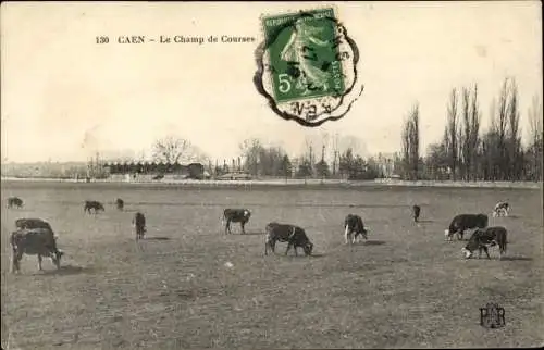 Ak Caen Calvados, Le Champ de Courses