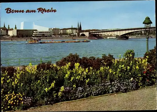 Ak Bonn am Rhein, Rheinpanorama mit Theater