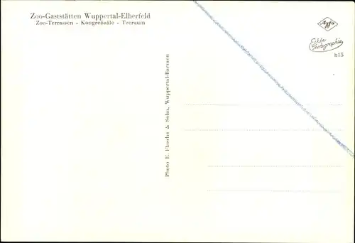 Ak Elberfeld Wuppertal, Zoo Gaststätten, Garten Terrassen