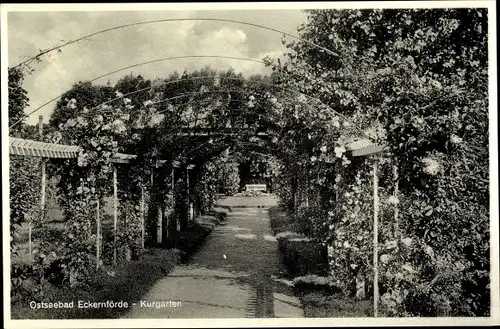 Ak Ostseebad Eckernförde, Kurgarten, Pergola