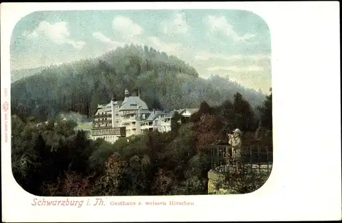 Ak Schwarzburg in Thüringen, Gasthaus zum weißen Hirschen