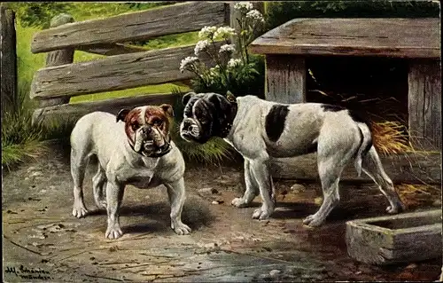 Künstler Ak Schönian, Alfred, Zwei Hunde vor der Hundehütte