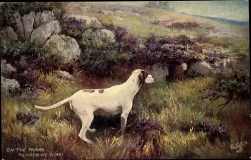 Künstler Ak On the Moors, Pointer at work, Jagdhund