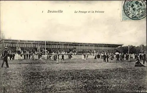 Ak Deauville Calvados, Le Pesage, La Pelouse