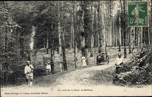 Ak Bellême Orne, Un coin de la Foret