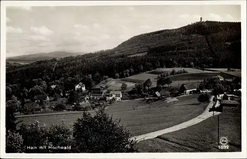 Ak Hain Hayn Oybin Oberlausitz, Teilansicht mit Hochwald, Zittauer Gebirge