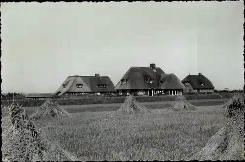 Foto Kampen auf Sylt, Reetdachhäuser, Feld