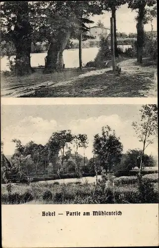 Ak Bokel Kreis Pinneberg, Partie am Mühlenteich