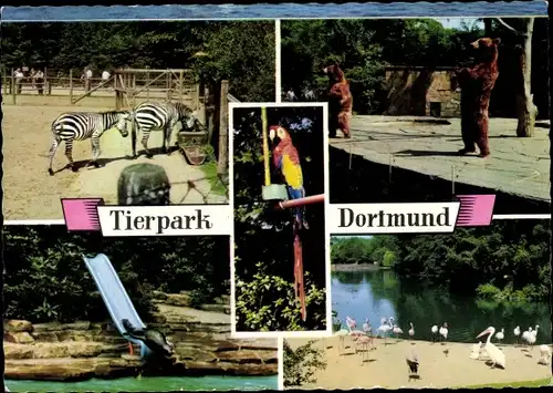 Ak Dortmund im Ruhrgebiet, Tierpark, Zebra, Bären