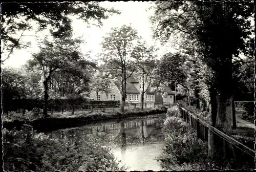 Foto Ak Nieblum auf der Insel Föhr Nordfriesland, Dorfteich