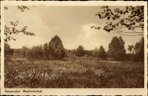 Ak Františkovy Lázně Franzensbad Region Karlsbad, Moorlandschaft