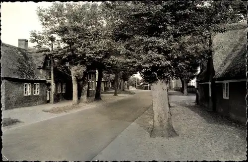 Foto Ak Nieblum auf der Insel Föhr Nordfriesland, Dorfstraße, Reetdachhäuser