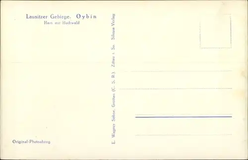 Ak Hain Hayn Oybin Oberlausitz, Teilansicht mit Hochwald, Zittauer Gebirge