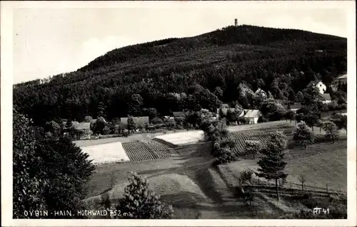 Foto Ak Hain Hayn Oybin Oberlausitz, Teilansicht vom Ort mit Hochwald