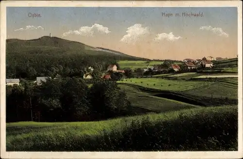 Ak Hayn Hain Oybin Oberlausitz, Panorama mit Hochwald