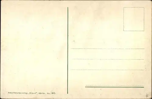 Ak Hayn Hain Oybin Oberlausitz, Panorama mit Hochwald