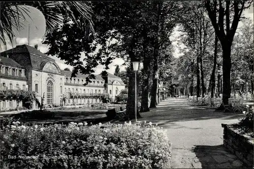 Ak Bad Nenndorf an der Weser, Esplanade