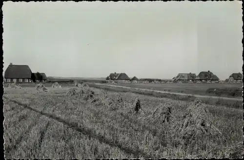 Foto Kampen auf Sylt, Reetdachhäuser, Feld