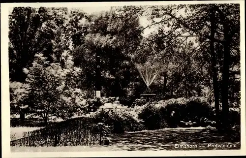 Ak Elmshorn in Holstein, Probstenfeld