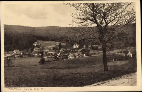 Ak Hohwald Neustadt in Sachsen, Gesamtansicht