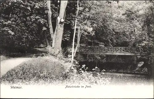 Ak Weimar in Thüringen, Naturbrücke im Park
