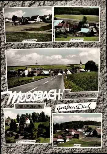 Ak Moosbach in der Oberpfalz, Niederland, Grub, Ortsansichten