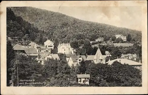 Ak Bad Herrenalb im Schwarzwald, Hummelsburg